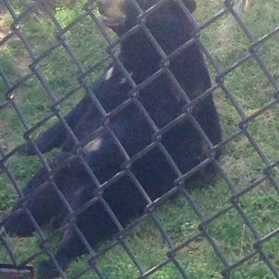 Profile Picture of Jacob Estes (@jake341981) on Twitter