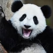 Profile Picture of Erik Lassen (@Eriklassen7) on Twitter