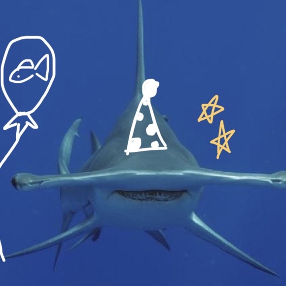 Profile Picture of Onion Potato (@onionpotato) on Poshmark