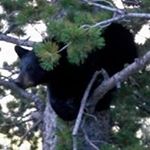 Profile Picture of Matt Waggoner (@matt.waggoner.524) on Instagram