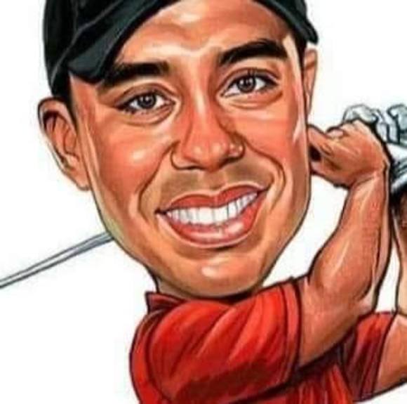 Profile Picture of Corey Vesterman (@tigerswood7) on Poshmark