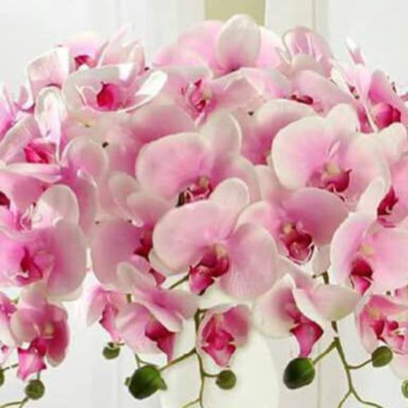 Profile Picture of Sevim Hendemoğlu şahin (@sevimh) on Poshmark