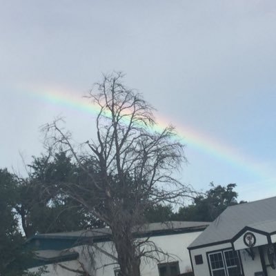 Profile Picture of Shay Brewer (@xXskittlesXx590) on Twitter