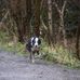 Profile Picture of Dennis Cable (@dennis.cable.56) on Facebook