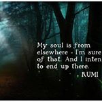 Profile Picture of Colin Egan (@colinegan46) on Instagram