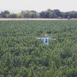 Profile Picture of Ian Marshall (@thunderstruck_hemp) on Instagram