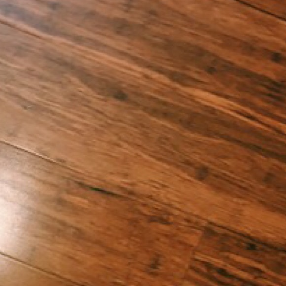 Profile Picture of Haley Rasser (@halebopr) on Poshmark