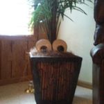 Profile Picture of Nora Samantha Greer (@norasamanthagr) on Instagram