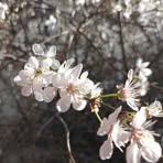 Profile Picture of Claude Frère (@Claude-Frère) on Facebook