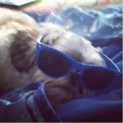 Profile Picture of Isaac Henriquez (@IsaacTheTryHard) on Twitter