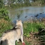 Profile Picture of Lola Triplett (@lola.triplett.2025) on Facebook