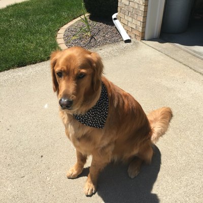 Profile Picture of Paul Ostrowski (@ostrop10) on Twitter