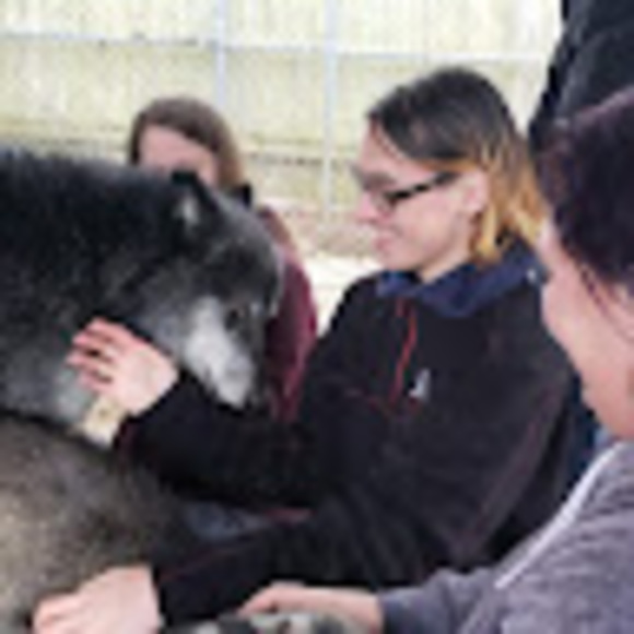 Profile Picture of Jackson Shadowens (@wild_wolf13) on Poshmark