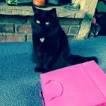 Profile Picture of Janet Morley (@princess_lulubabycakes) on Instagram
