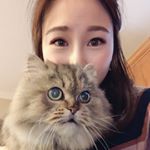 Profile Picture of Emily Yeh (@emiyehh) on Instagram