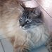 Profile Picture of Armando Zamora (@armando.zamora.75873) on Facebook