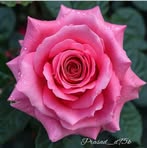 Profile Picture of John Cottrill (@John-Cottrill) on Facebook