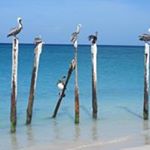 Profile Picture of Keith Wardle (@keith.wardle) on Instagram