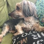 Profile Picture of Shawn Barnett (@shawnmbarnett) on Instagram