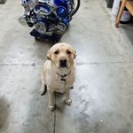 Profile Picture of Chad Smoker (@chadsmoker) on Instagram