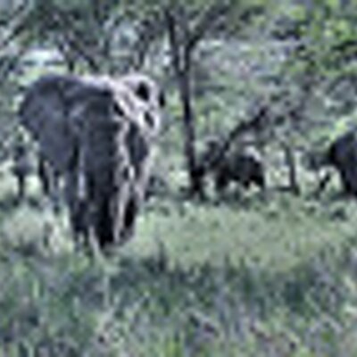 Profile Picture of StevenJanis (@StevenJanis2) on Twitter