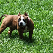 Profile Picture of Lee Straughter (@LeeStraughter) on Youtube