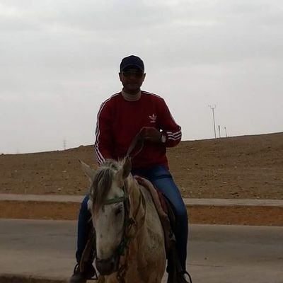 Profile Picture of Maged Gerges (@gerges_maged) on Twitter