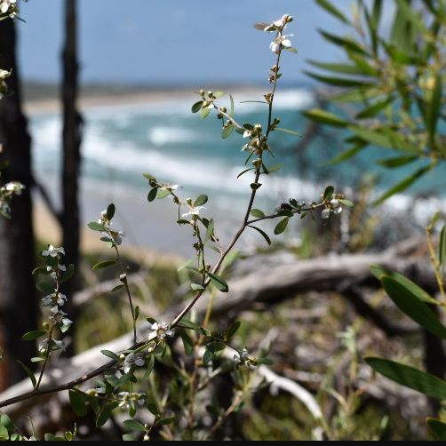 Profile Picture of peterbartolo3 (@peterbartolo3) on Tiktok