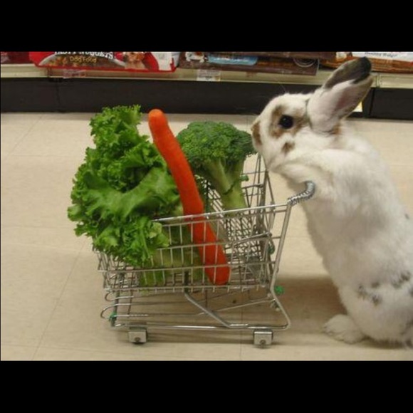 Profile Picture of Liz Hopta (@bibbits05) on Poshmark