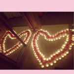 Profile Picture of Daniel Brizendine (@procatbu) on Instagram