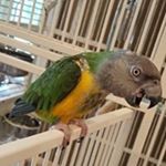 Profile Picture of Lucinda Pearson Dalzell (@lucindadalzell) on Instagram