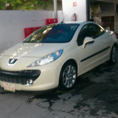 Profile Picture of Robert (@tano_mondaca) on Twitter