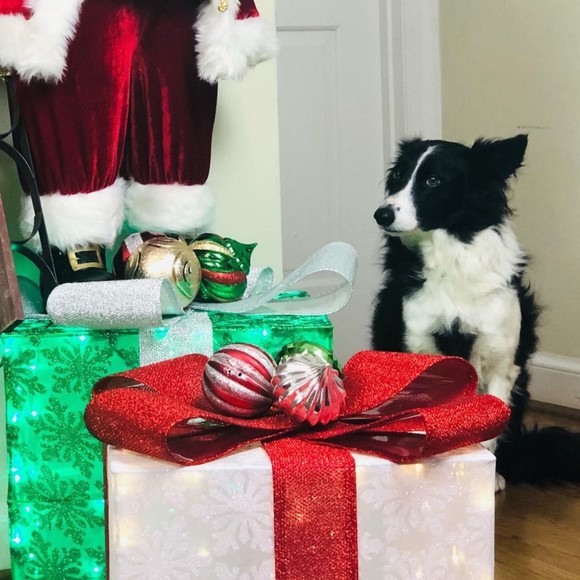 Profile Picture of Gloria Kuang (@gloriakuang08) on Poshmark