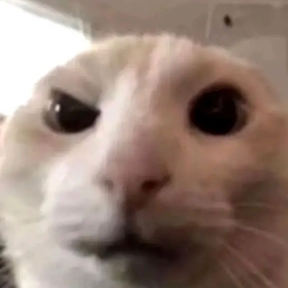 Profile Picture of Nathan Belowski (@1nathanbelowski) on Poshmark