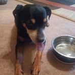 Kevin Tribby - Facebook Profile Picture of Kevin Tribby (@kevin.tribby.9) on Facebook