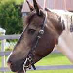 Profile Picture of Suzanne Olivier (@suzanne.olivier) on Instagram