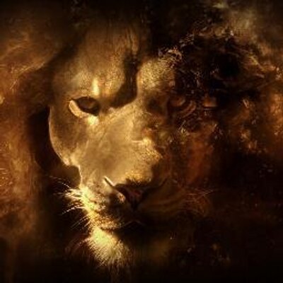 Profile Picture of Russell Chalmers (@rustychalmers) on Twitter