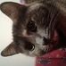 Profile Picture of Philip Rhienstein (@philip.rhienstein.3) on Facebook