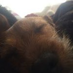 Profile Picture of Joe Oates (@s.yeti7) on Instagram