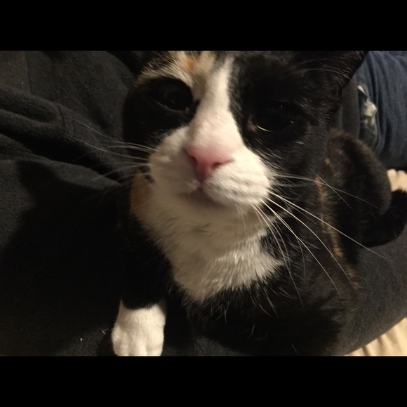 Profile Picture of David Simmons (@djsuge) on Poshmark