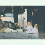 Profile Picture of Amal Salloum (@salloum867) on Instagram