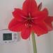 Profile Picture of Nancy Gantzler (@googd) on Pinterest