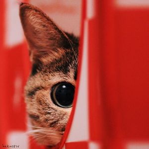 Profile Picture of Yan Huang (@chereleslie) on Myspace