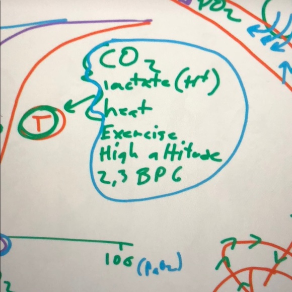 Profile Picture of Monica Estevez (@monikaepoche) on Poshmark