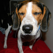 Profile Picture of Brad Horton (@bradhorton2598) on Youtube