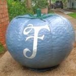 Profile Picture of Mike Folmar (@folmarmike) on Instagram