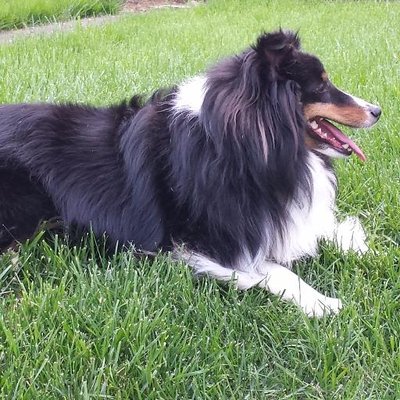 Profile Picture of David Hammond (@DavidGHammond) on Twitter