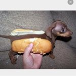 Profile Picture of Connor Hardy (@connorhardytardy) on Instagram