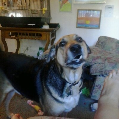 Profile Picture of Nate Ladd (@LaddNate) on Twitter