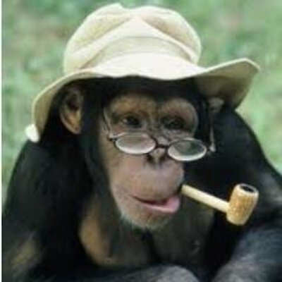 Profile Picture of Scott Feig (@FeigScott) on Twitter